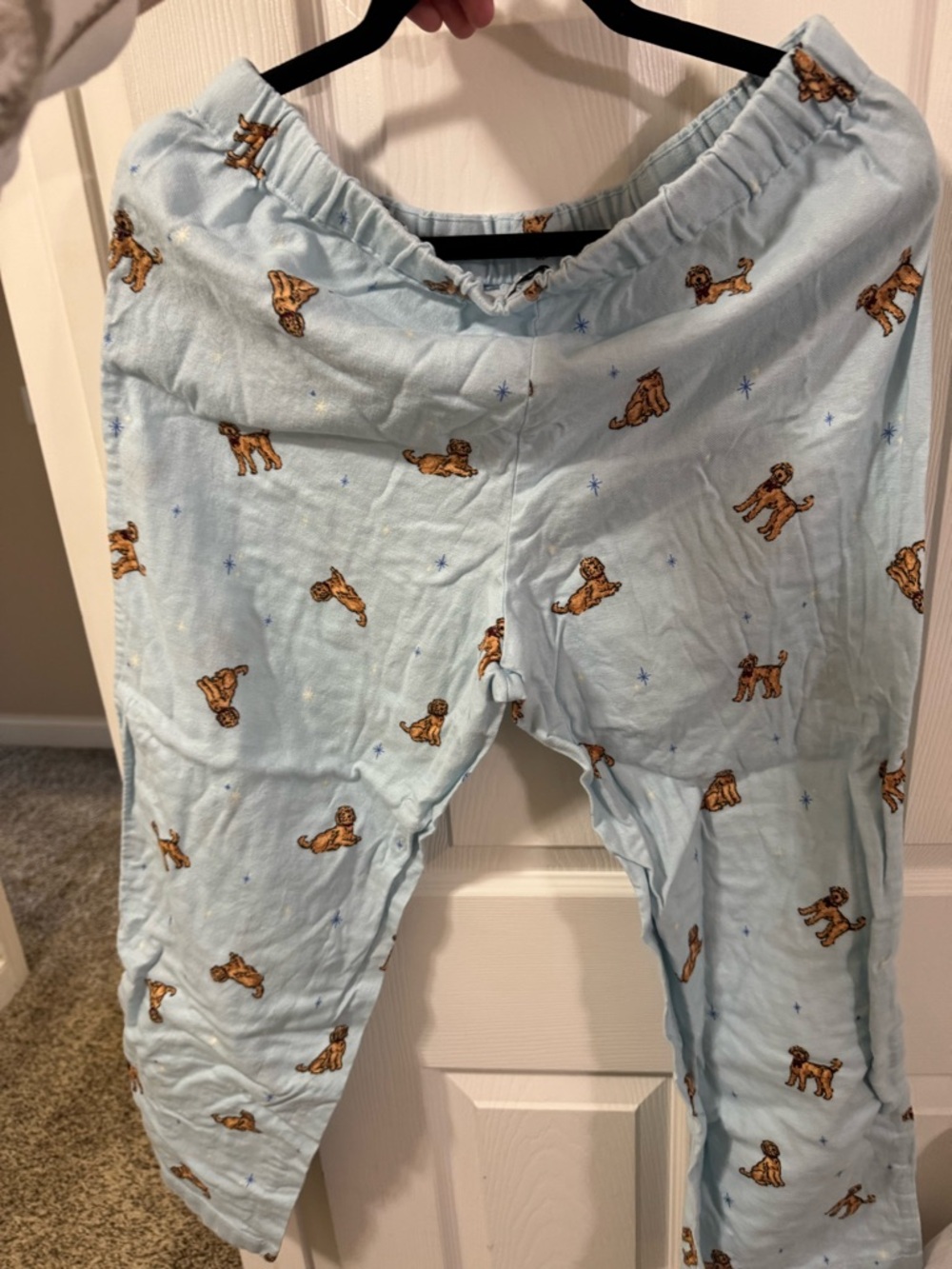 J. Crew Pale Blue Goldendoodle Lounge Pants - Picture 6 of 6
